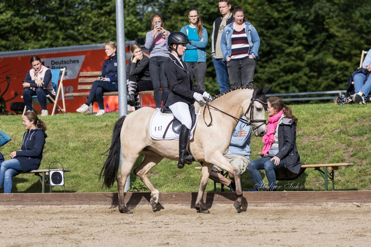 Bild 476 - Pony Akademie Turnier